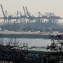 Vom Balkon aus etwas nach links liegt der HHLA Container-Terminal Tollerort.